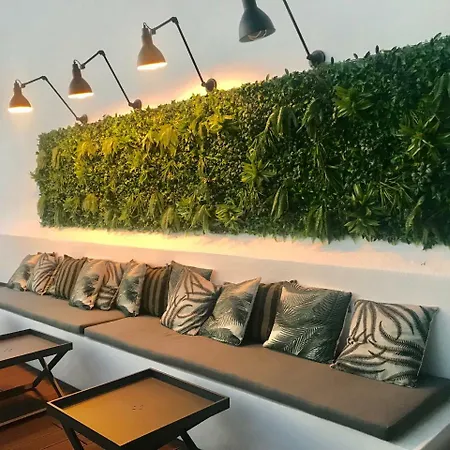 Alameda Exclusive House *