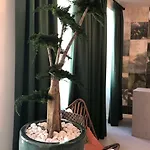 Alameda Exclusive House Hostal *