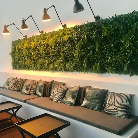 Alameda Exclusive House *